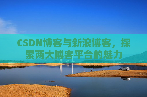 CSDN博客与新浪博客，探索两大博客平台的魅力